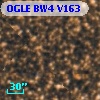 OGLE BW4 V163