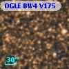 OGLE BW4 V175