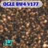 OGLE BW4 V177