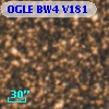 OGLE BW4 V181