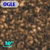 OGLE BW4 V36