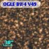 OGLE BW4 V49