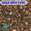 OGLE BW4 V198