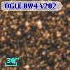 OGLE BW4 V202