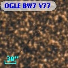 OGLE BW7 V77