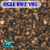 OGLE BW7 V95