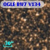 OGLE BW7 V134