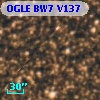 OGLE BW7 V137