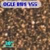 OGLE BW8 V55