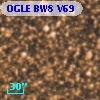 OGLE BW8 V69