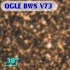 OGLE BW8 V73