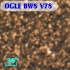 OGLE BW8 V78
