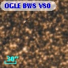OGLE BW8 V80