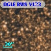 OGLE BW8 V123