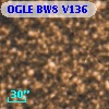OGLE BW8 V136