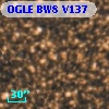 OGLE BW8 V137