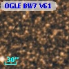 OGLE BW7 V61