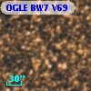 OGLE BW7 V69