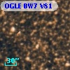 OGLE BW7 V81