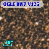 OGLE BW7 V125