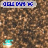 OGLE BW8 V6