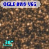 OGLE BW8 V65