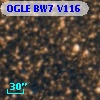 OGLE BW7 V116
