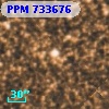 PPM 733676