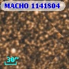 MACHO 1141804
