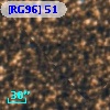 [RG96]  51