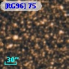 [RG96]  75