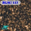 [RG96] 117