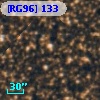 [RG96] 133