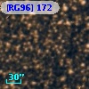 [RG96] 172