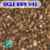 OGLE BW8 V41