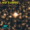 HD 318891