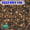 OGLE BW4 V96