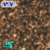 V* V4041 Sgr