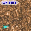 NSV  9951