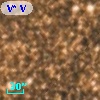 V* V3989 Sgr