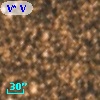 V* V4003 Sgr