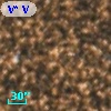 V* V4005 Sgr