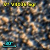 V* V4036 Sgr