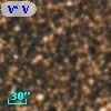 V* V4040 Sgr
