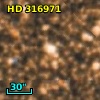 HD 316971