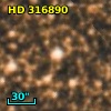 HD 316890