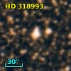 HD 318993