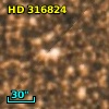 HD 316824