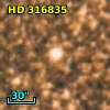 HD 316835
