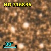 HD 316836